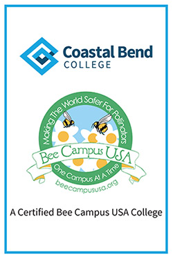 Certified Bee Campus