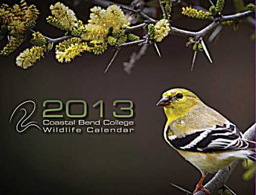CBC Wildlife Calendar